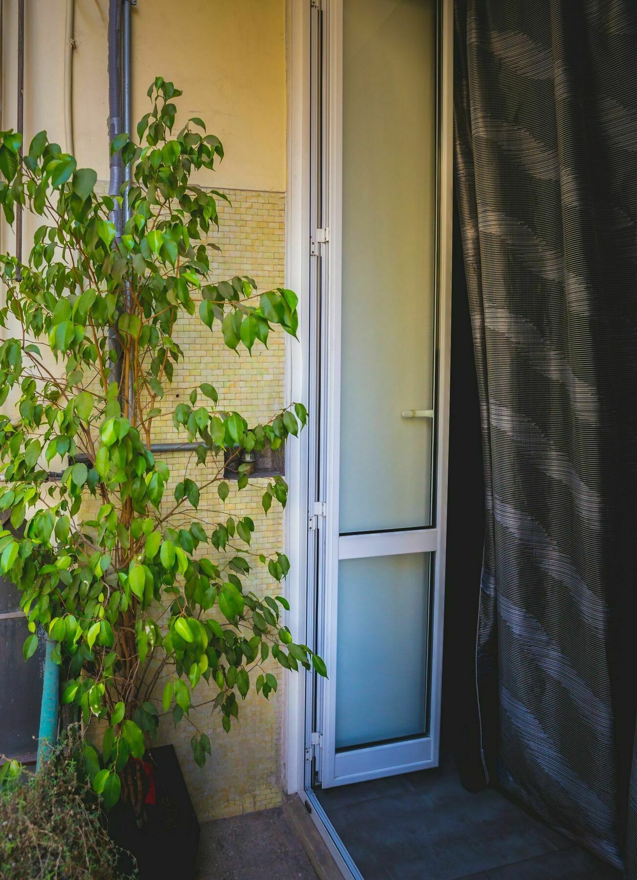 Domus Alberti Bed & Breakfast Рим Екстериор снимка